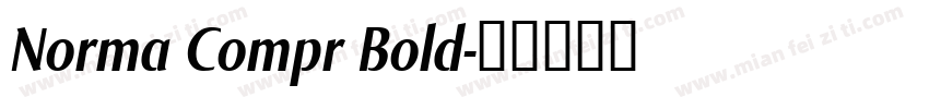 Norma Compr Bold字体转换